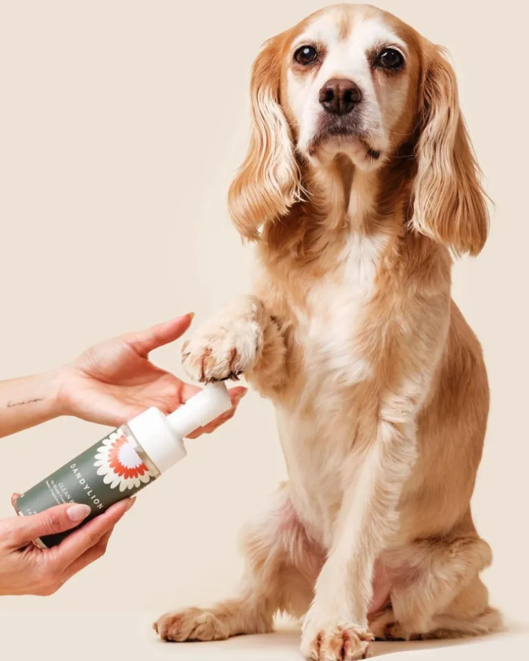 Refill - Clean Paws No-Rinse Foaming Cleanser for Dogs (Vegan & Cruelty Free)