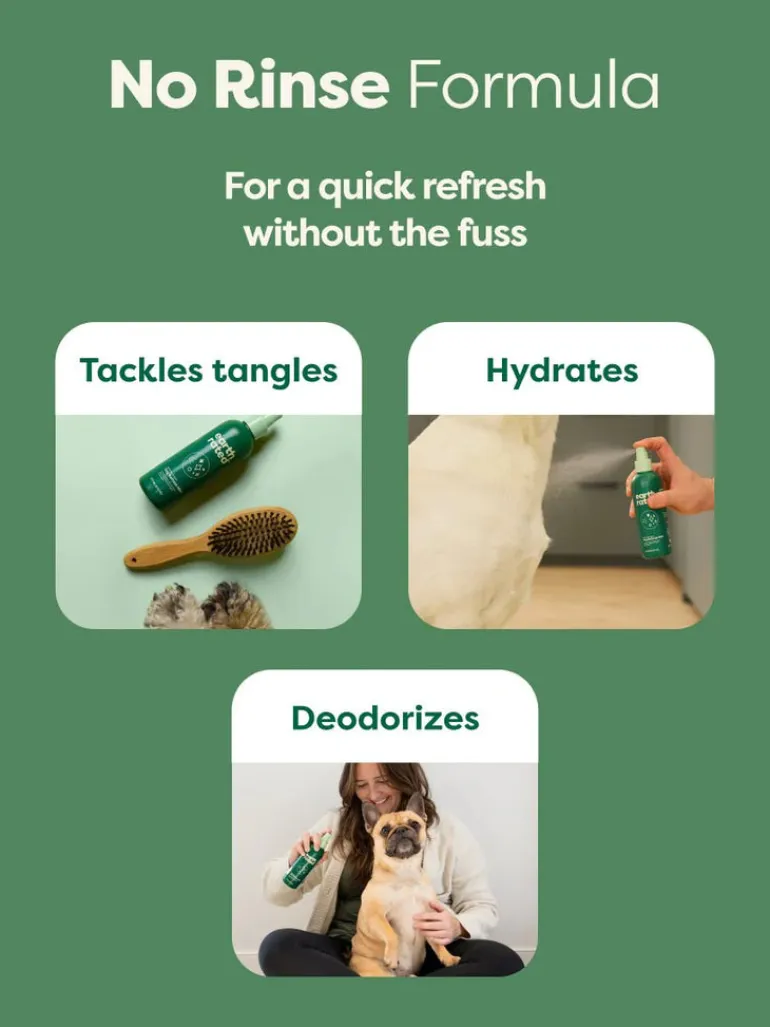 Refreshing Dog Mist