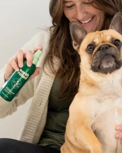 Refreshing Dog Mist