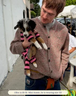 Ribbed Dog Onesie in Cheshire