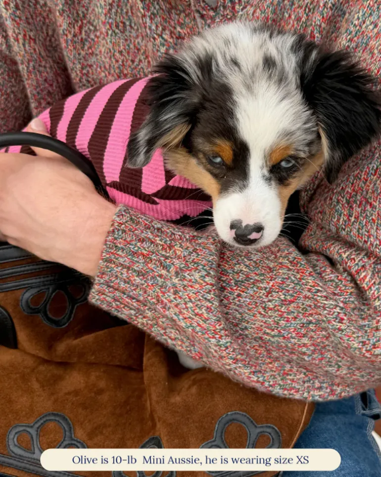 Ribbed Dog Onesie in Cheshire