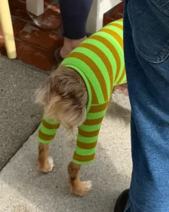 Ribbed Dog Onesie in Fresh Grass