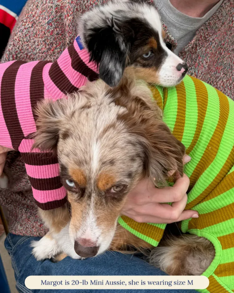 Ribbed Dog Onesie in Fresh Grass