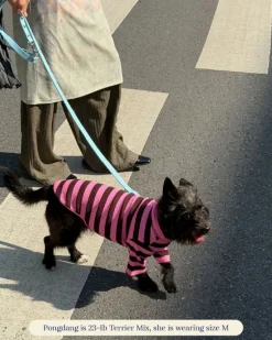 Ribbed Dog Shirt in Cheshire