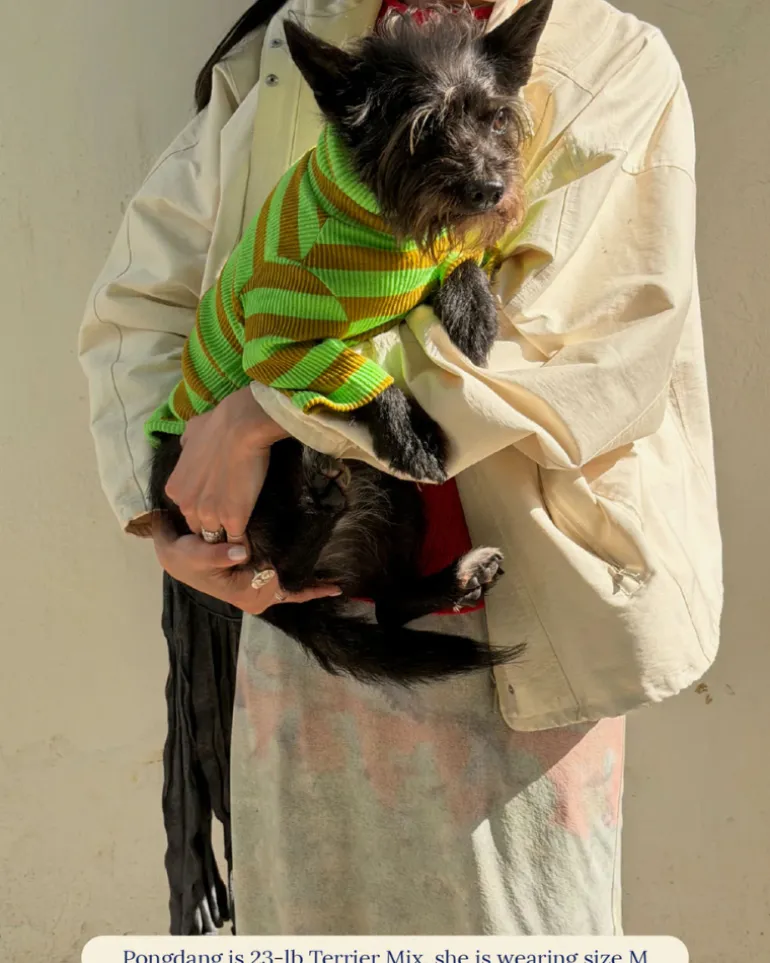 Ribbed Dog Shirt in Fresh Grass
