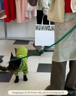 Ribbed Dog Shirt in Fresh Grass