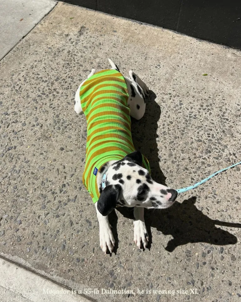 Ribbed Dog Shirt in Fresh Grass