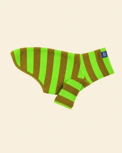 Ribbed Dog Shirt in Fresh Grass