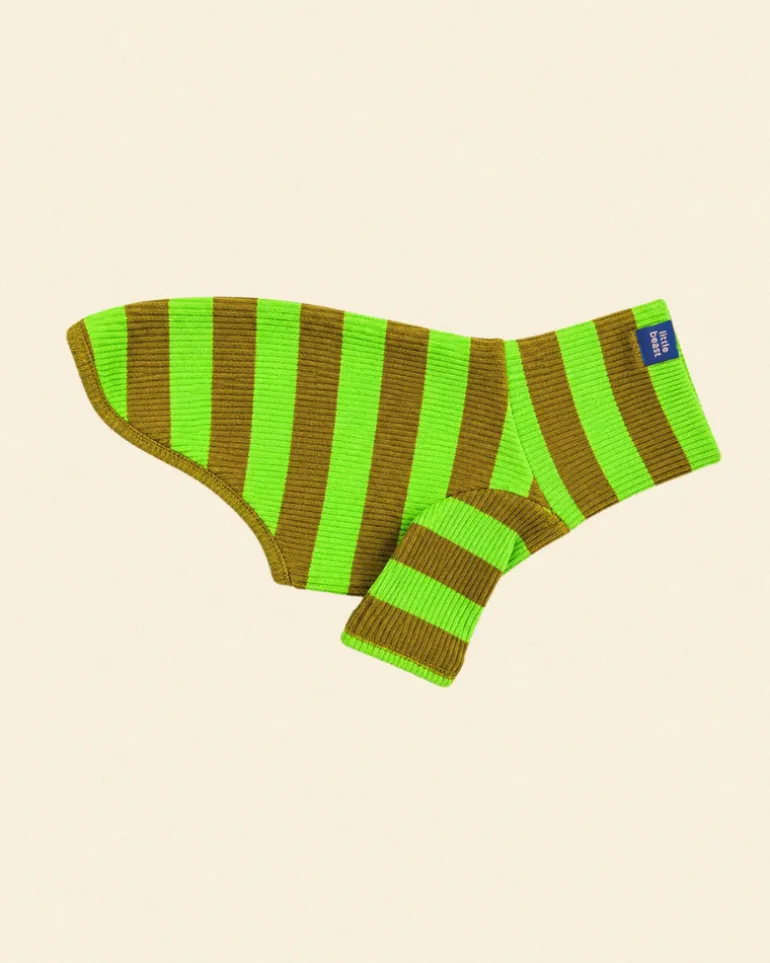 Ribbed Dog Shirt in Fresh Grass
