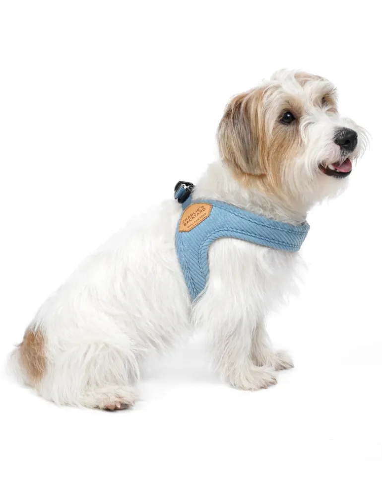 "Roy" Corduroy Buckle Up Easy Dog Harness in Baby Blue