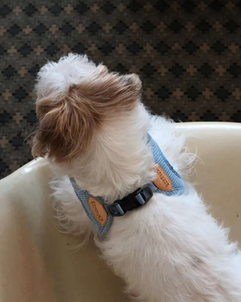"Roy" Corduroy Buckle Up Easy Dog Harness in Baby Blue