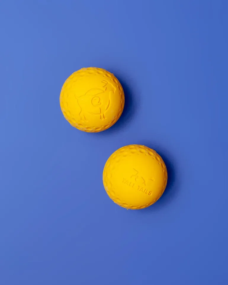 Rubber Floating Dog Ball Toy