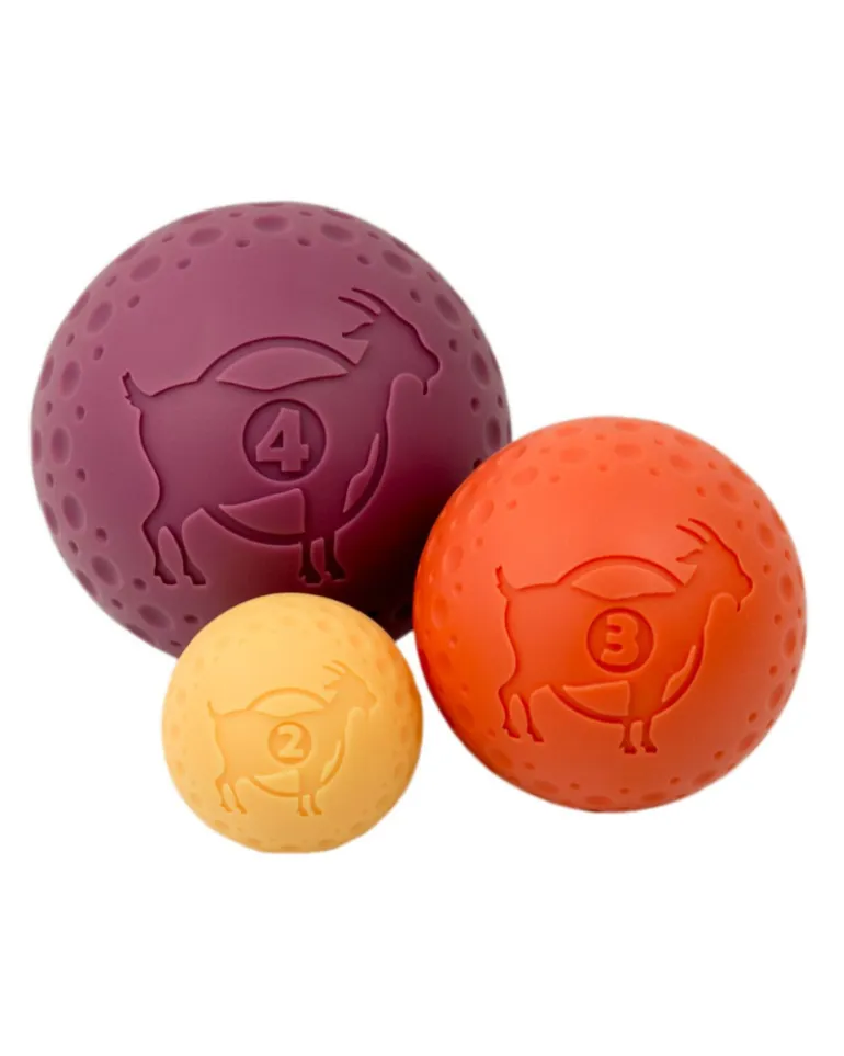 Rubber Floating Dog Ball Toy