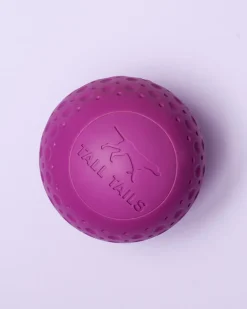 Rubber Floating Dog Ball Toy