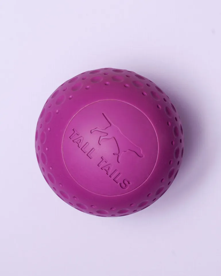 Rubber Floating Dog Ball Toy