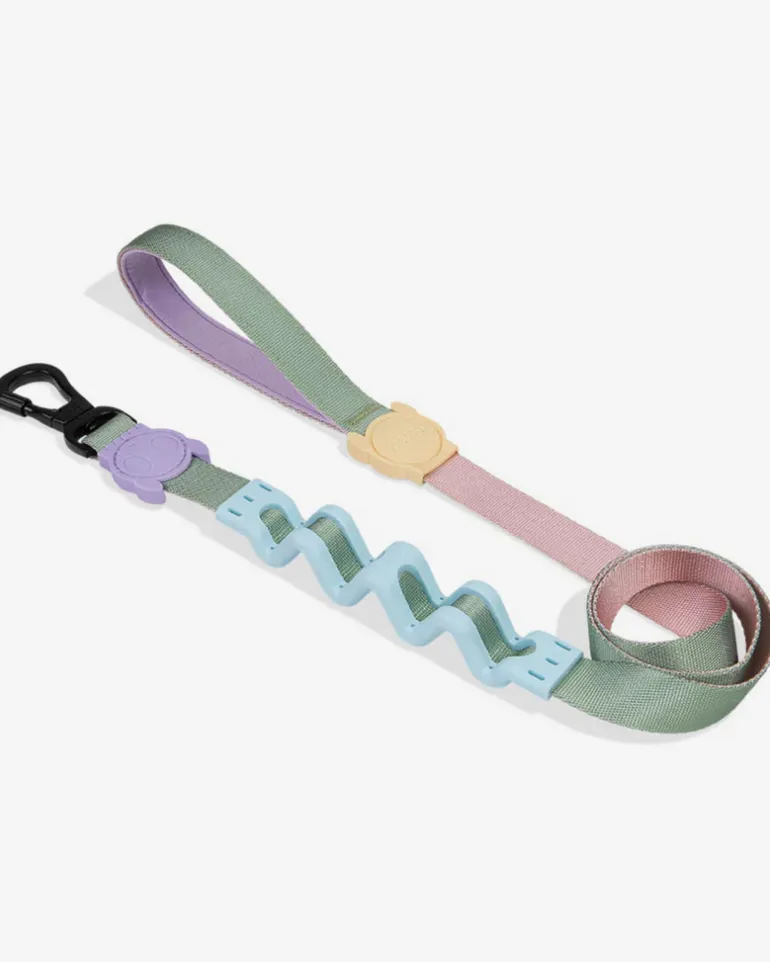 Ruff Leash for Dogs in Peach