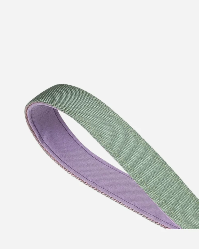 Ruff Leash for Dogs in Peach