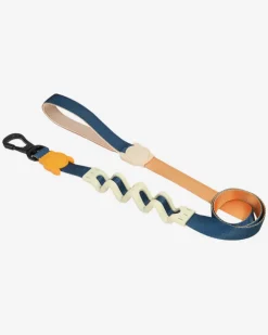Ruff Leash for Dogs in Voyage