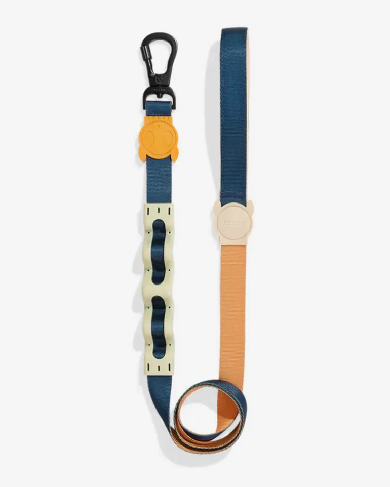 Ruff Leash for Dogs in Voyage