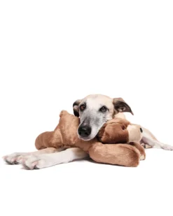 Sadie Bear Squeaky Dog Plush Toy