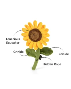 Sassy Sunflower Crinkly Squeaker Dog Toy