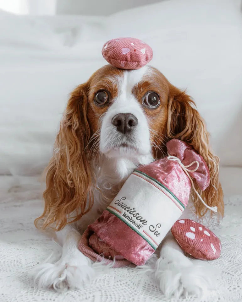 Saucisson Sec Squeaky Enrichment Plush Dog Toy