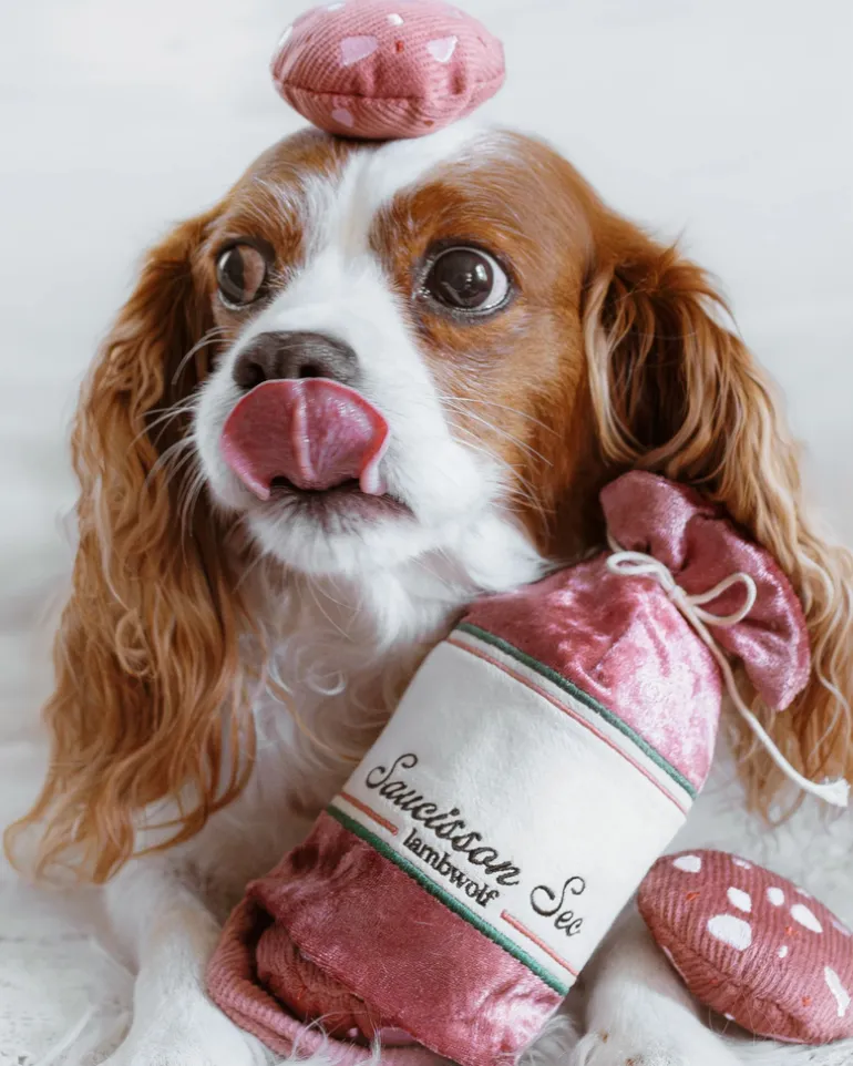 Saucisson Sec Squeaky Enrichment Plush Dog Toy