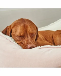 Scoop Bed in Blush & Ivory Sheepskin (Direct-Ship)
