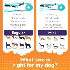 Sidekick Transitional No-Pull Leash
