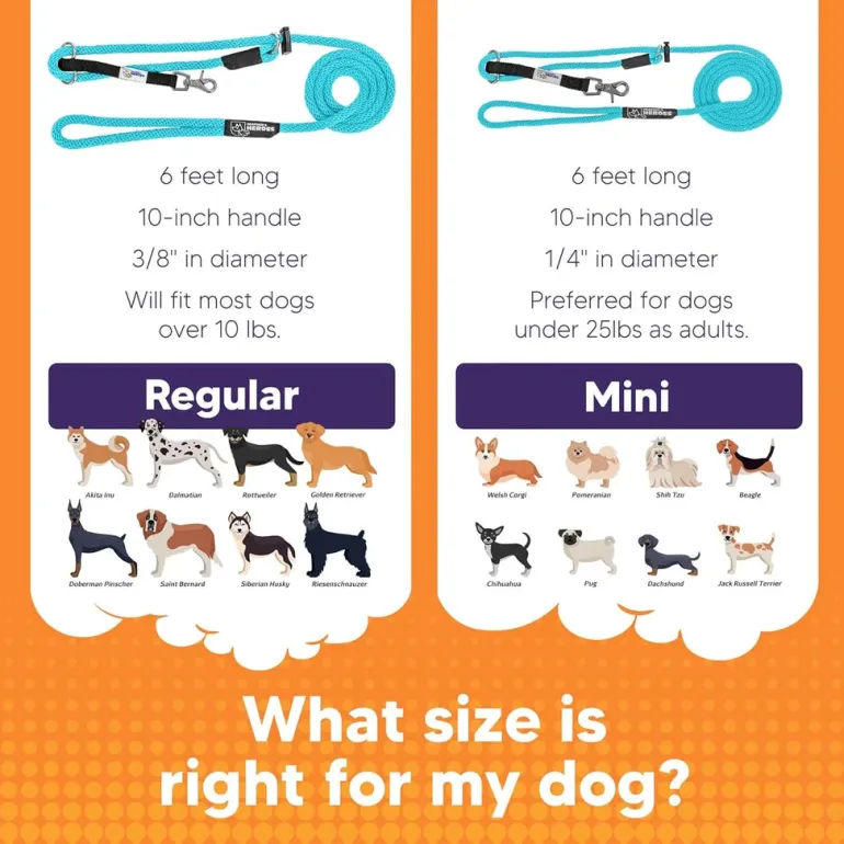 Sidekick Transitional No-Pull Leash