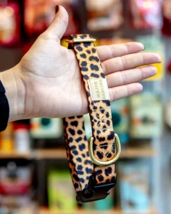 Side-Release Buckle Dog Collar in Leopard
