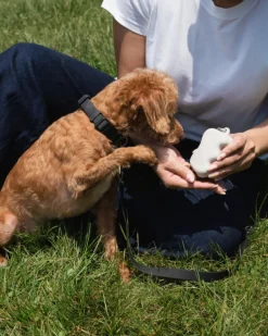 Silicone Dog Treat Dispenser