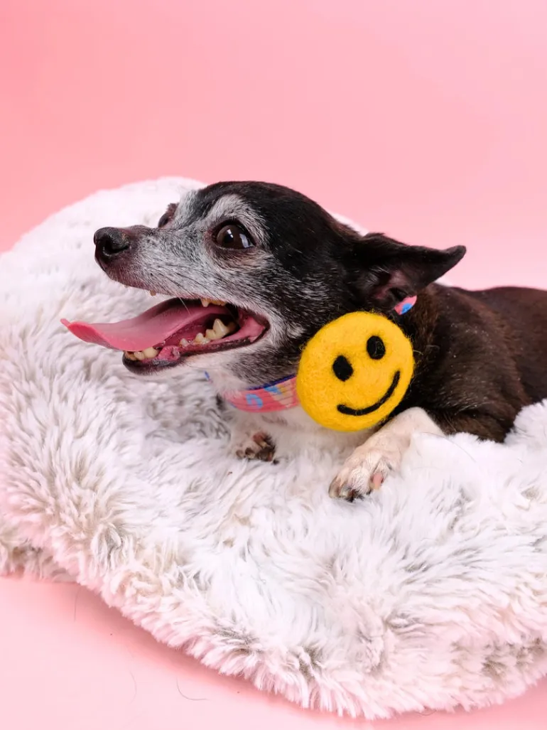 Smiley Face Collar Accessory (Made in the USA)