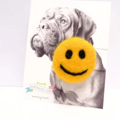 Smiley Face Collar Accessory (Made in the USA)