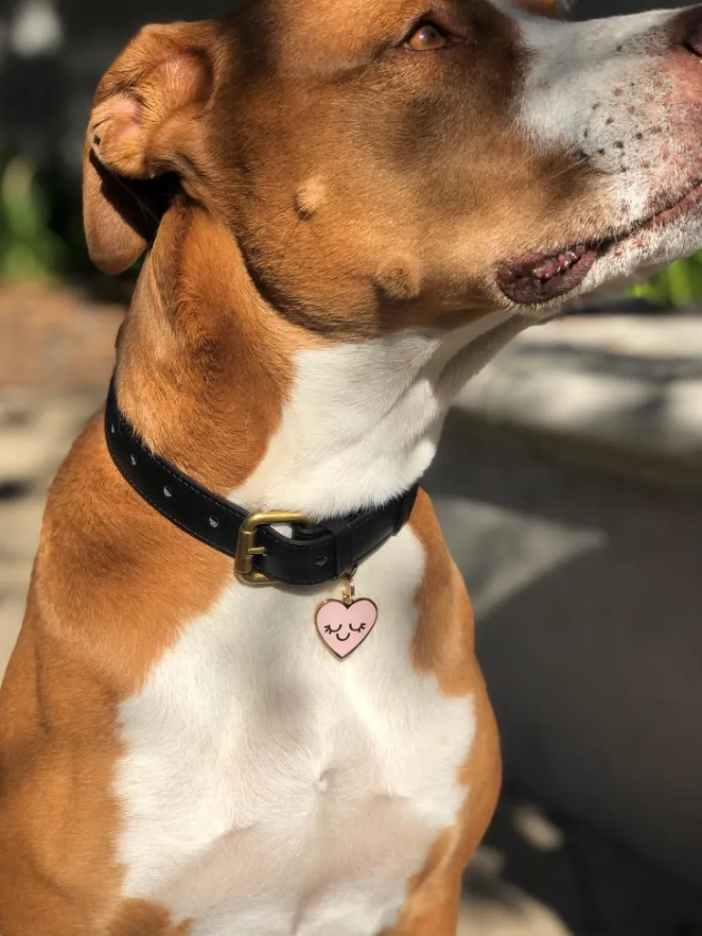 Smiling Heart ID Tag (Custom)