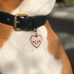 Smiling Heart ID Tag (Custom)