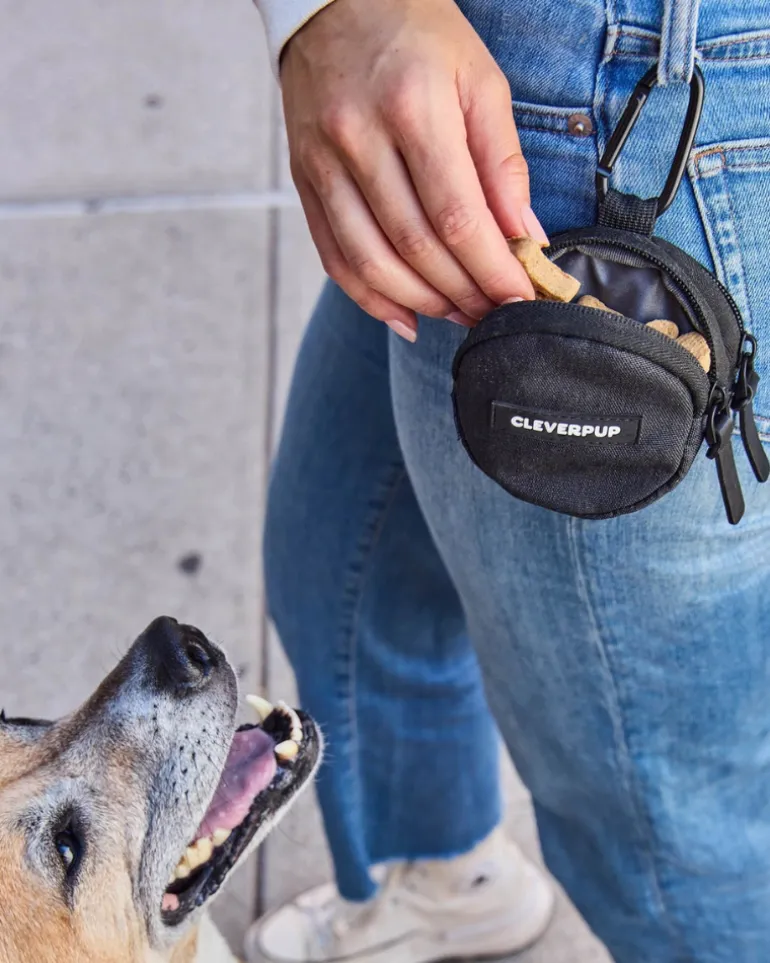 Snackpack Double Dog Treat Pouch
