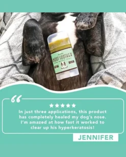 Snout Soother Travel Stick