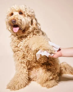 So Fresh, So Clean Prebiotic Dog Wipes