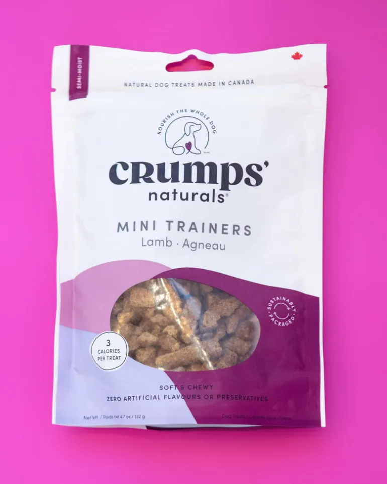 Soft & Chewy Lamb Mini Trainers Dog Treats