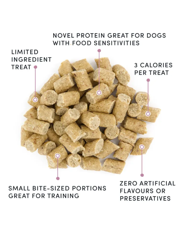 Soft & Chewy Lamb Mini Trainers Dog Treats