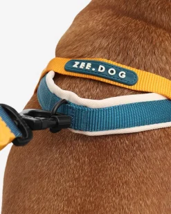 SofterWalk No-Pull Dog Harness in Voyage