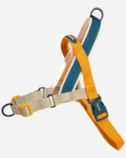 SofterWalk No-Pull Dog Harness in Voyage