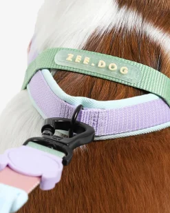 SofterWalk No-Pull Dog Harness in Peach