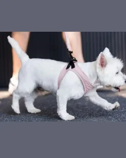 Soft Fabric Step-In Dog Harness in Blush
