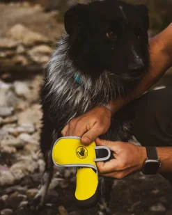 Soft Neoprene Paw Protector Booties