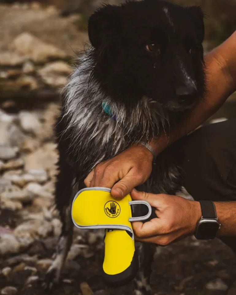 Soft Neoprene Paw Protector Booties