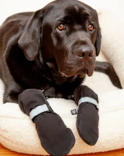 Soft Shield Dog Boots in Black