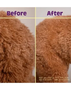 Soft Suds Hydrating Dog Shampoo in Botanical Bay