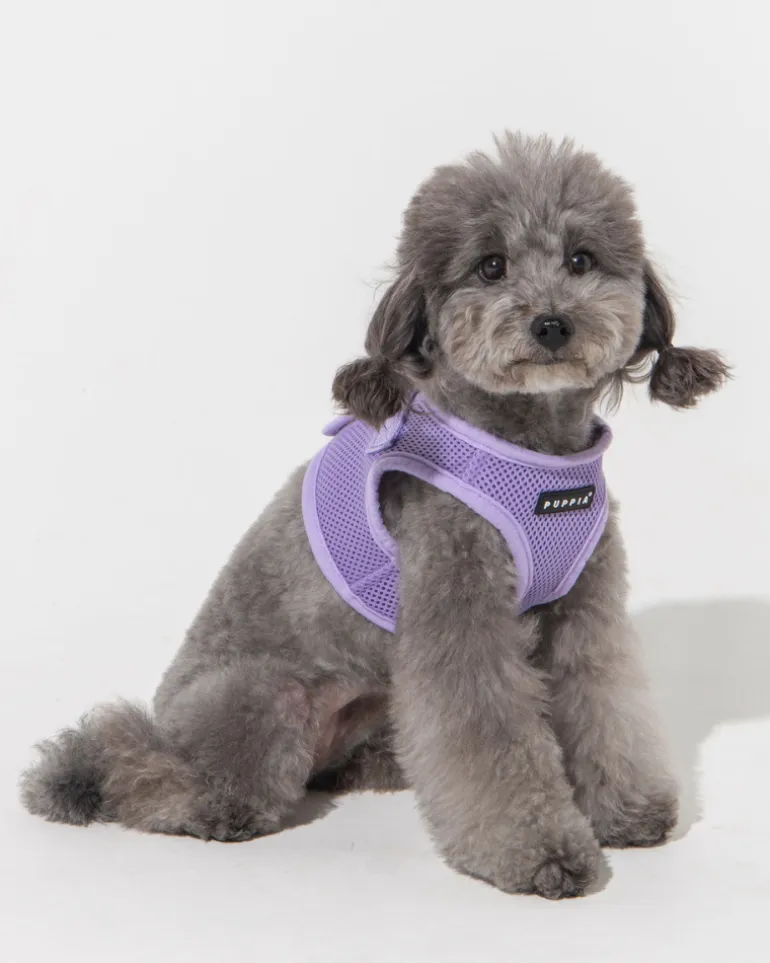Soft Vest Dog Harness in Violet